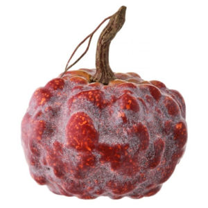 Hybrid Red Pumpkin image