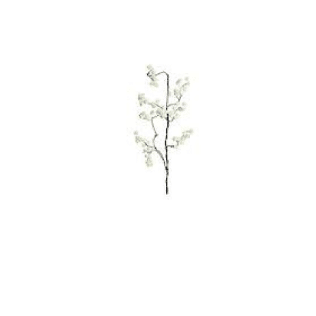 Long Stem Cream Floral Botanica #862 image