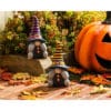 Witchy Gnome Garden Statuary