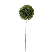 Green Flower & Stem Botanical image