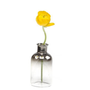 Medium Aptar Vase image