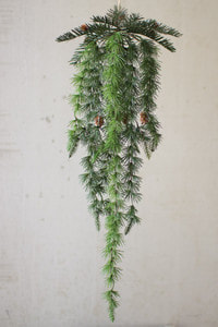 Hanging Pine With Cones image