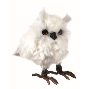 Fat White Feather Owl image