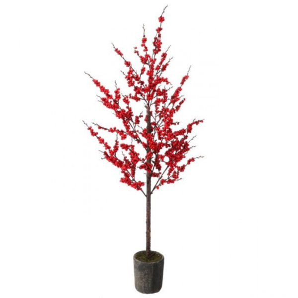 Potted Berry Tree