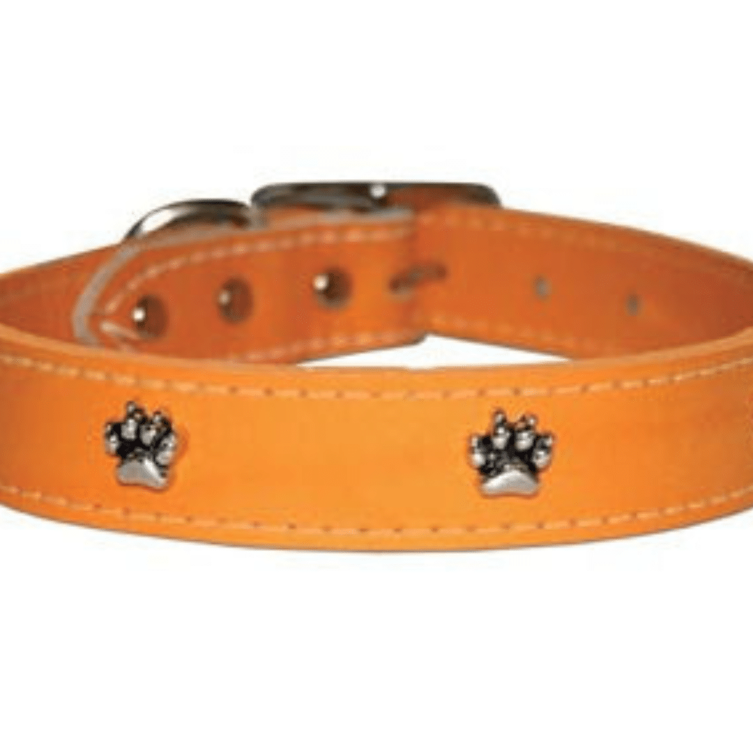 Leather Dog Collar with Paw Ornament image