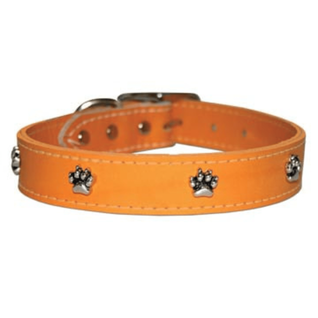 Orange Leather Dog Collar with Paw Ornament image