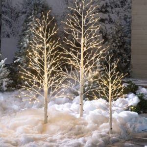 4’H Indoor/Outdoor Birch Tree with 112 White and Multicolor Lights image