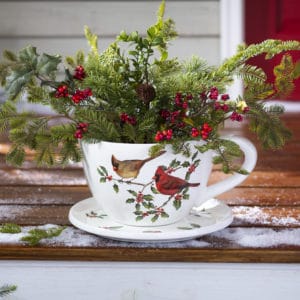 Cardinal Tea Cup Planter image