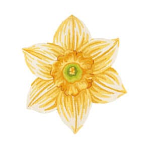 Shaped Hooked Rugs: Yellow Daffodil image
