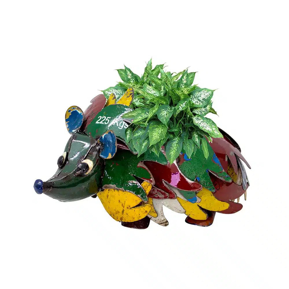 Hedgehog Planter image