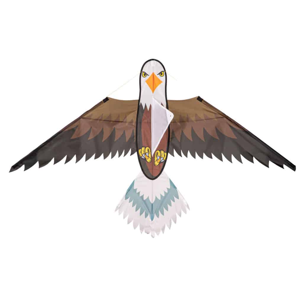 bald Eagle kite