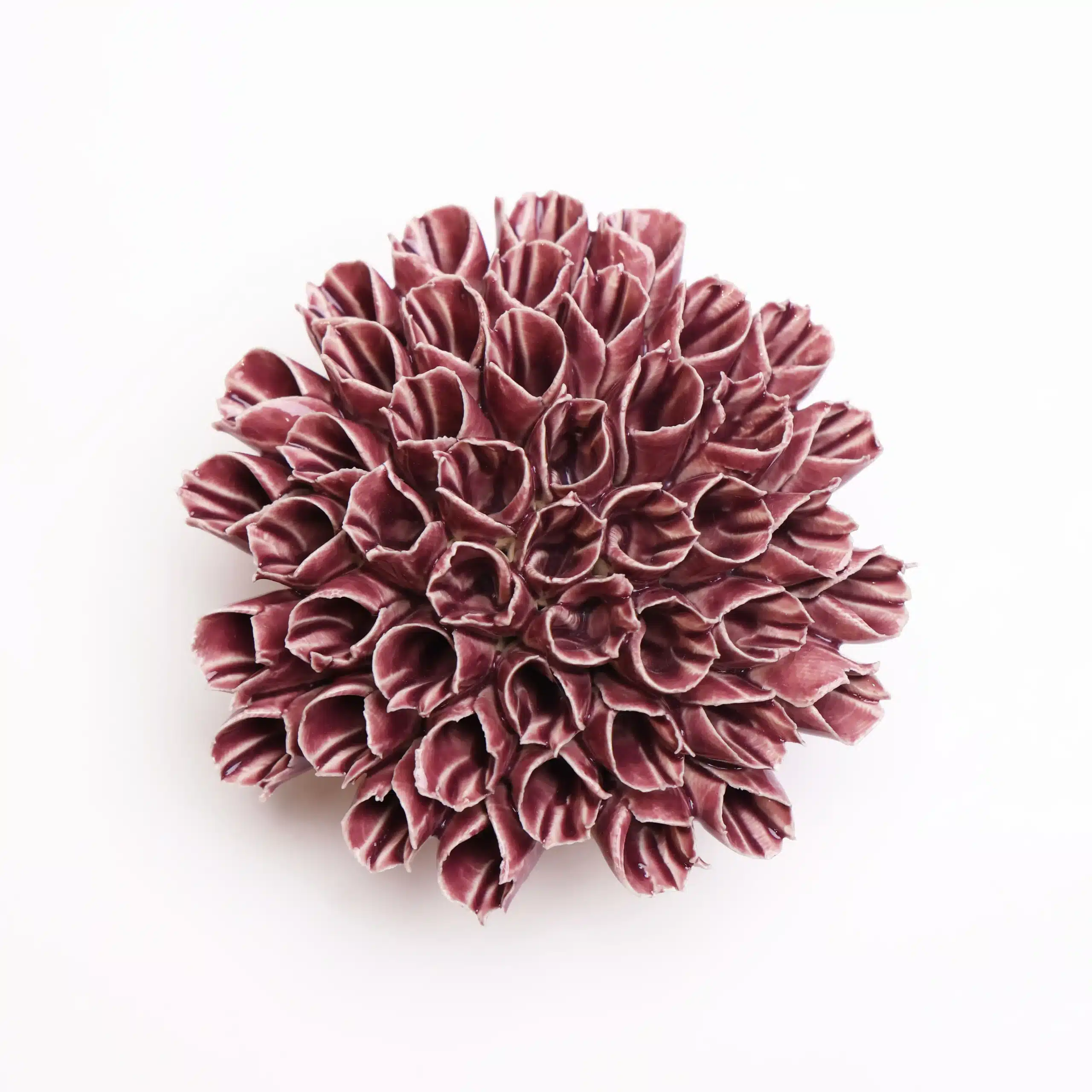 Purple Ceramic Coral Flower image