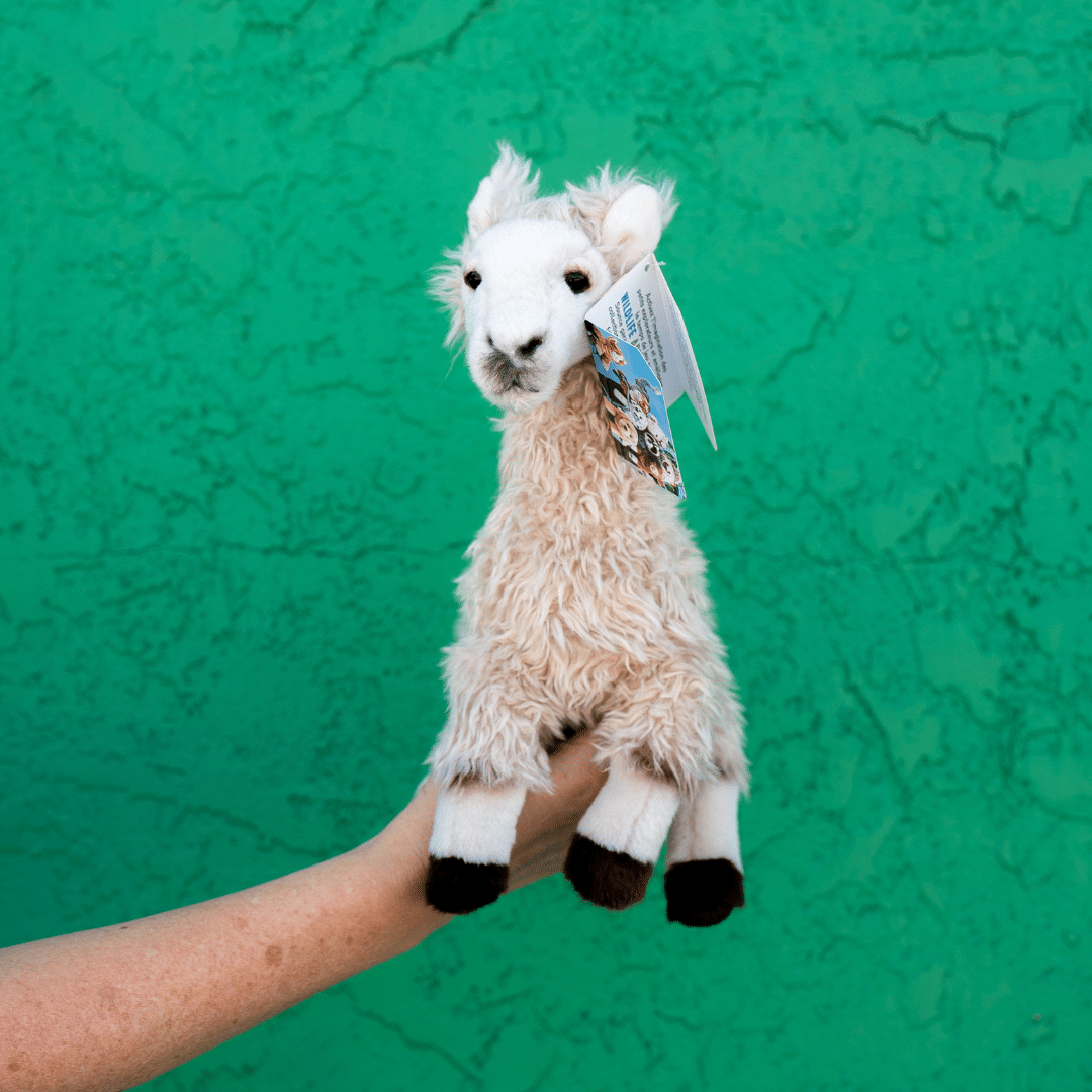 Llama Plush Toy image