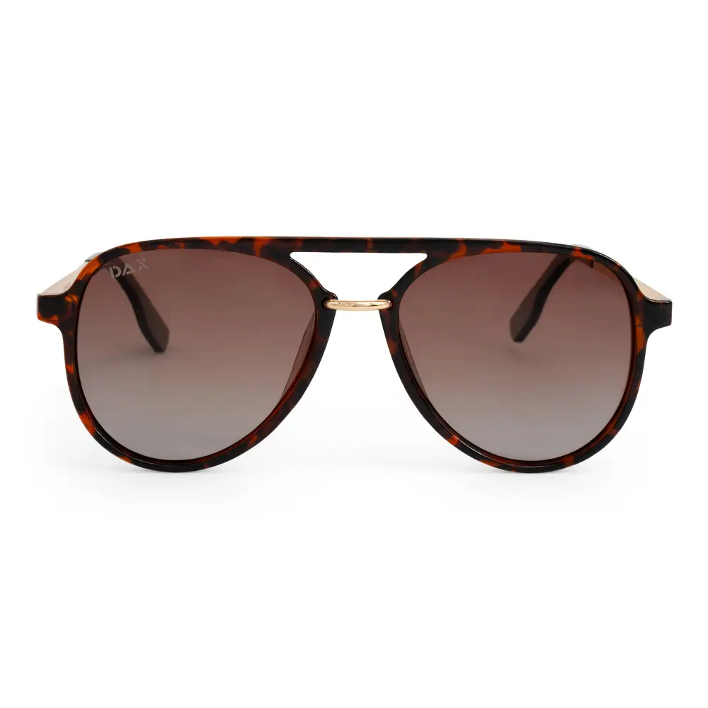 Earhart Cheetah Sunglasses image