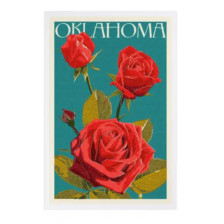 Souvenir Postcard Oklahoma Rose image