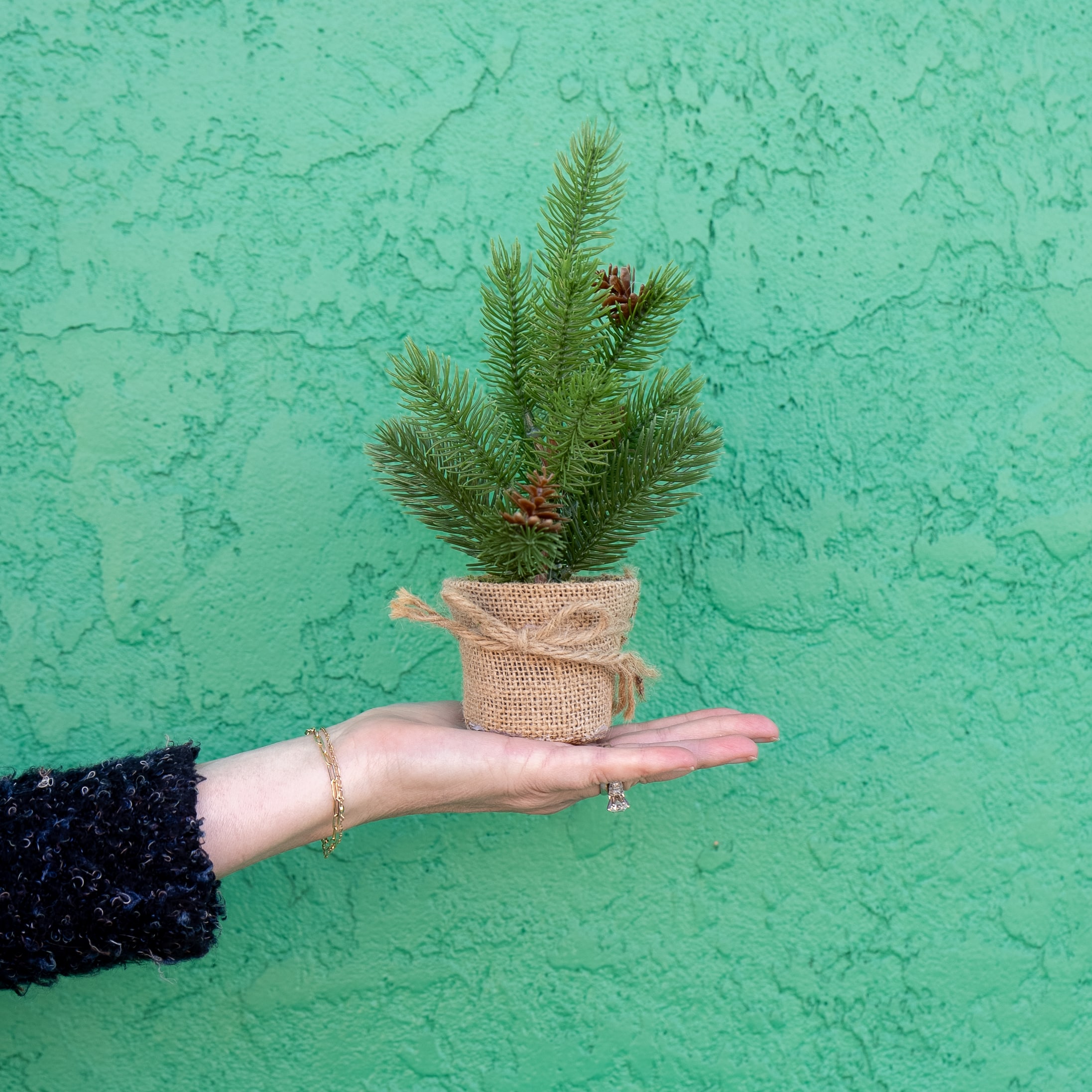 Tree Burlap Wrapped 10″ image