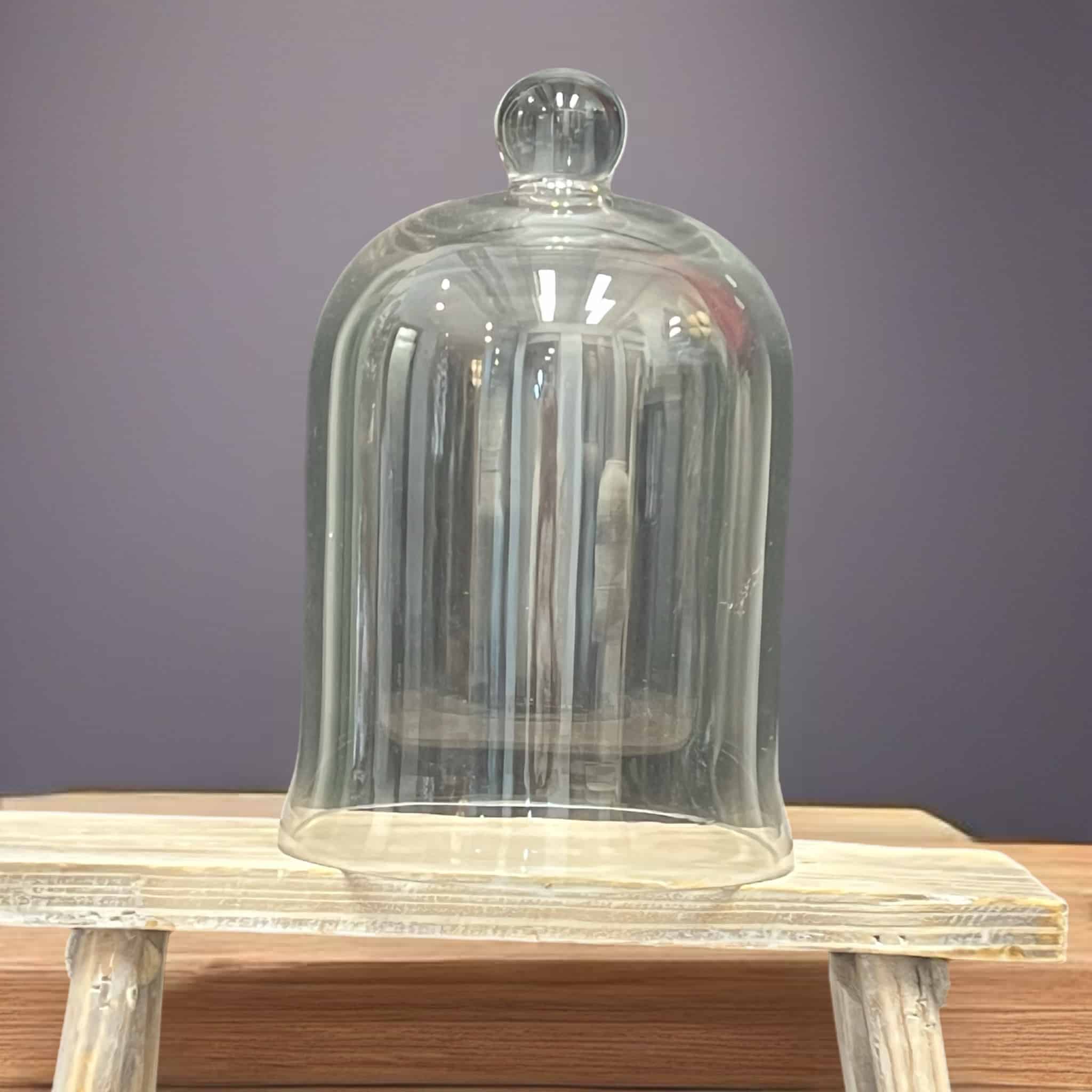 Medium Clear Glass Cloche Bell Jar Centerpiece Dome Display, 12″ T image