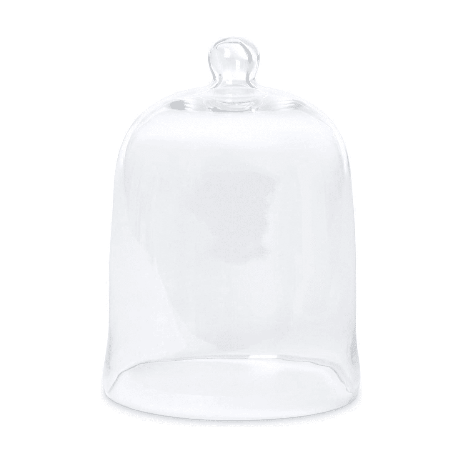 Par Hill Collection Large Clear Glass Cloche Bell Jar Centerpiece Dome Display, 15" T