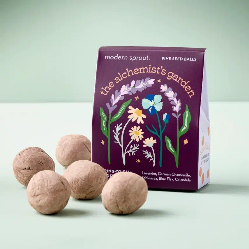 Modern Sprout Poets Garden Seed Balls showing 5 seed balls and purple packaging pouch