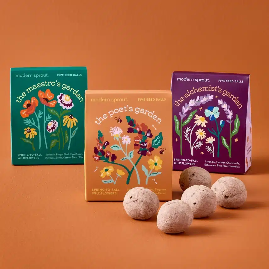 Garden Seed Balls image