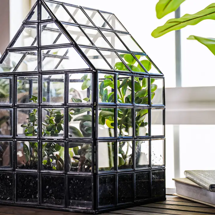 Large Glass Terrarium Lattice image