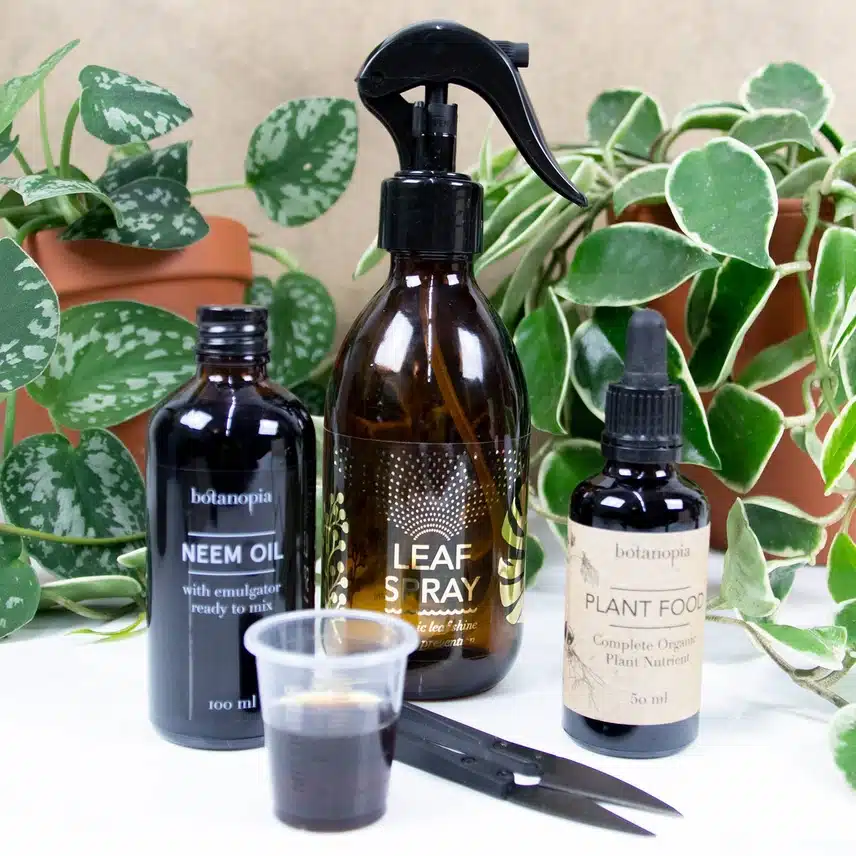 Plant Care Kit - Image 3
