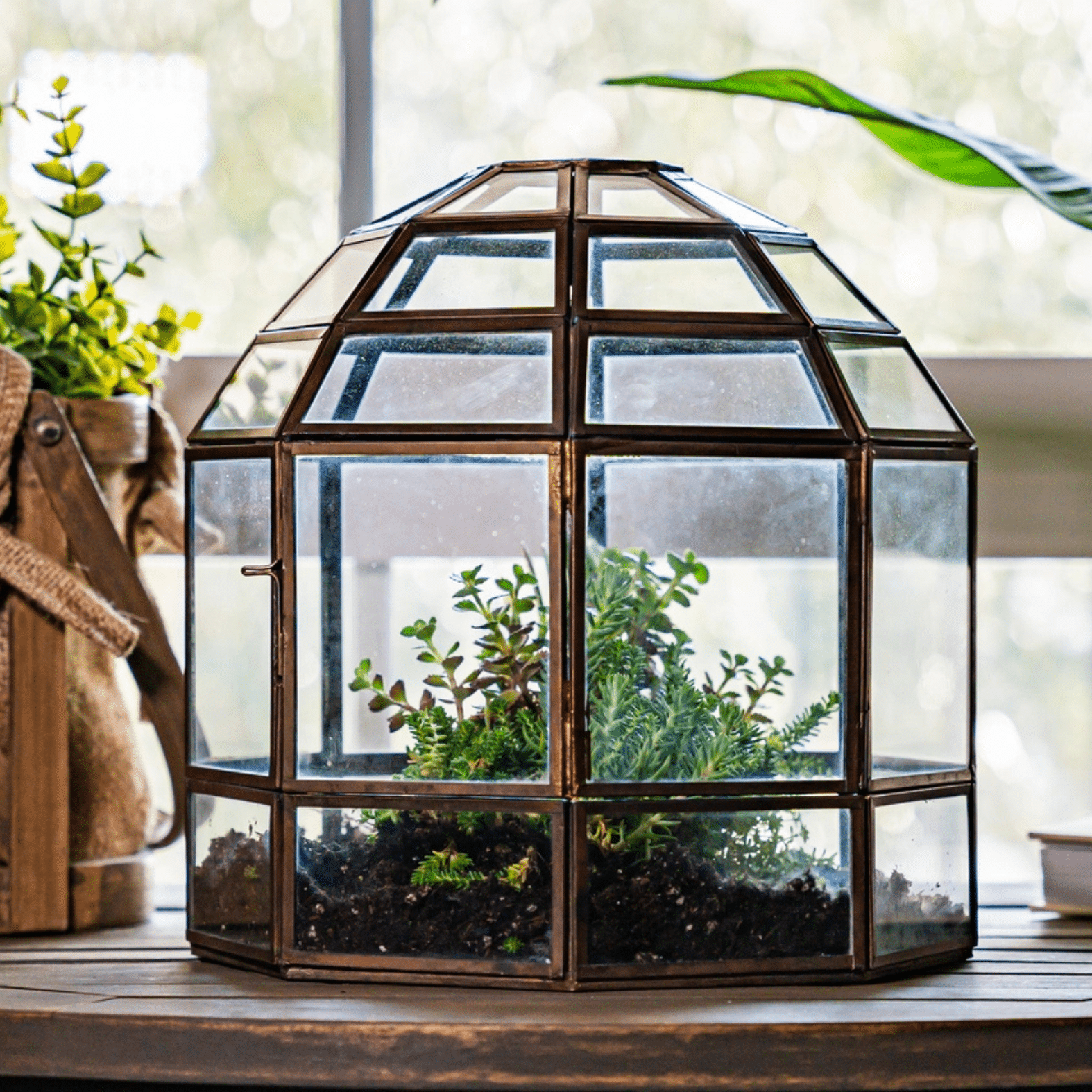 Large Glass Terrarium Bronze Birdcage image