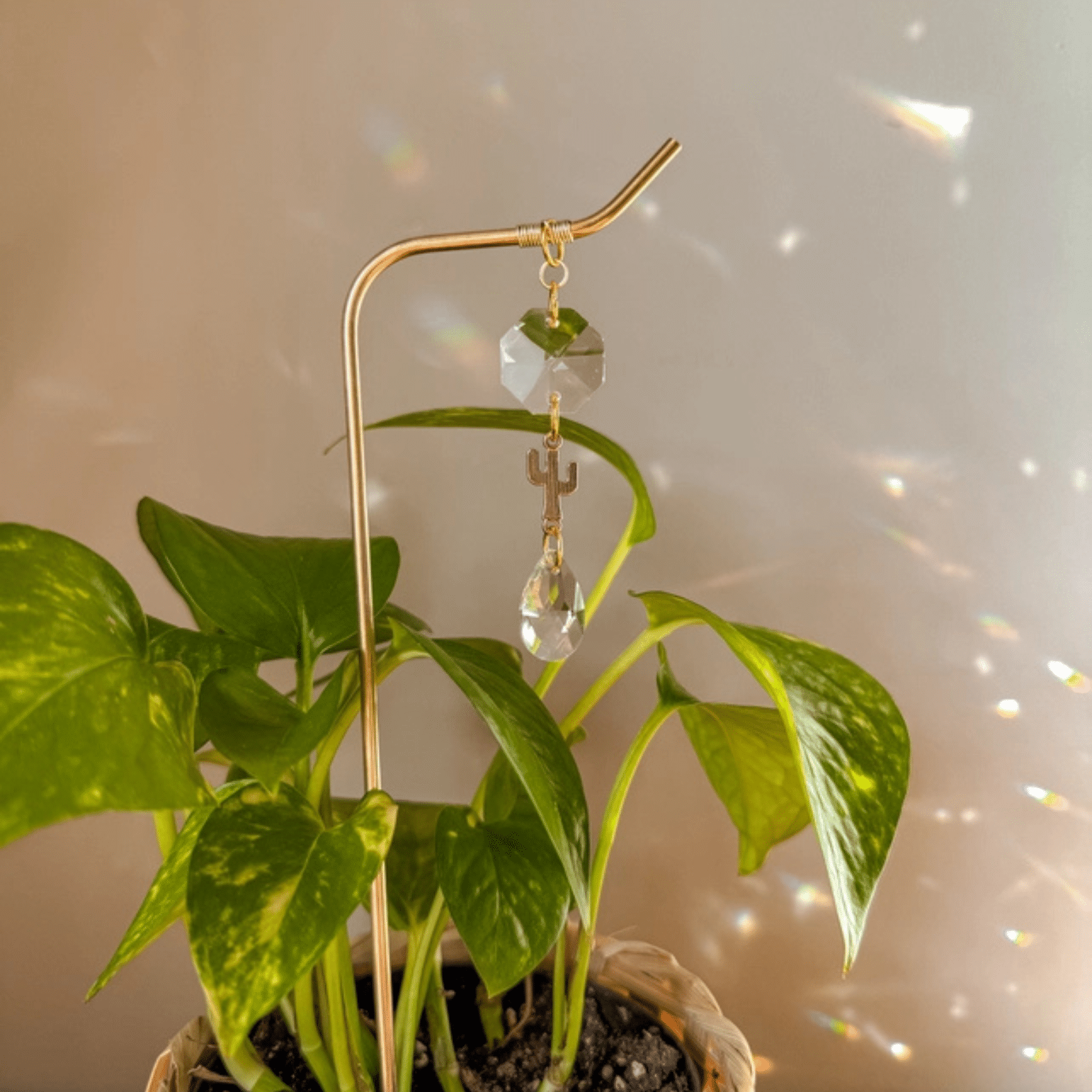 Plant Stake | Cactus Suncatcher image