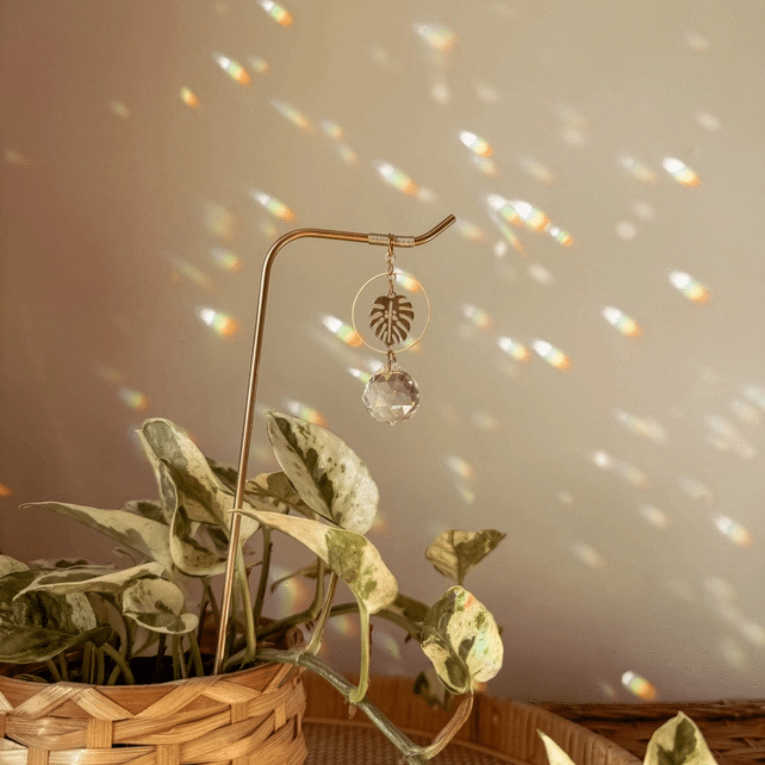 Plant Stake | Monstera Suncatcher image