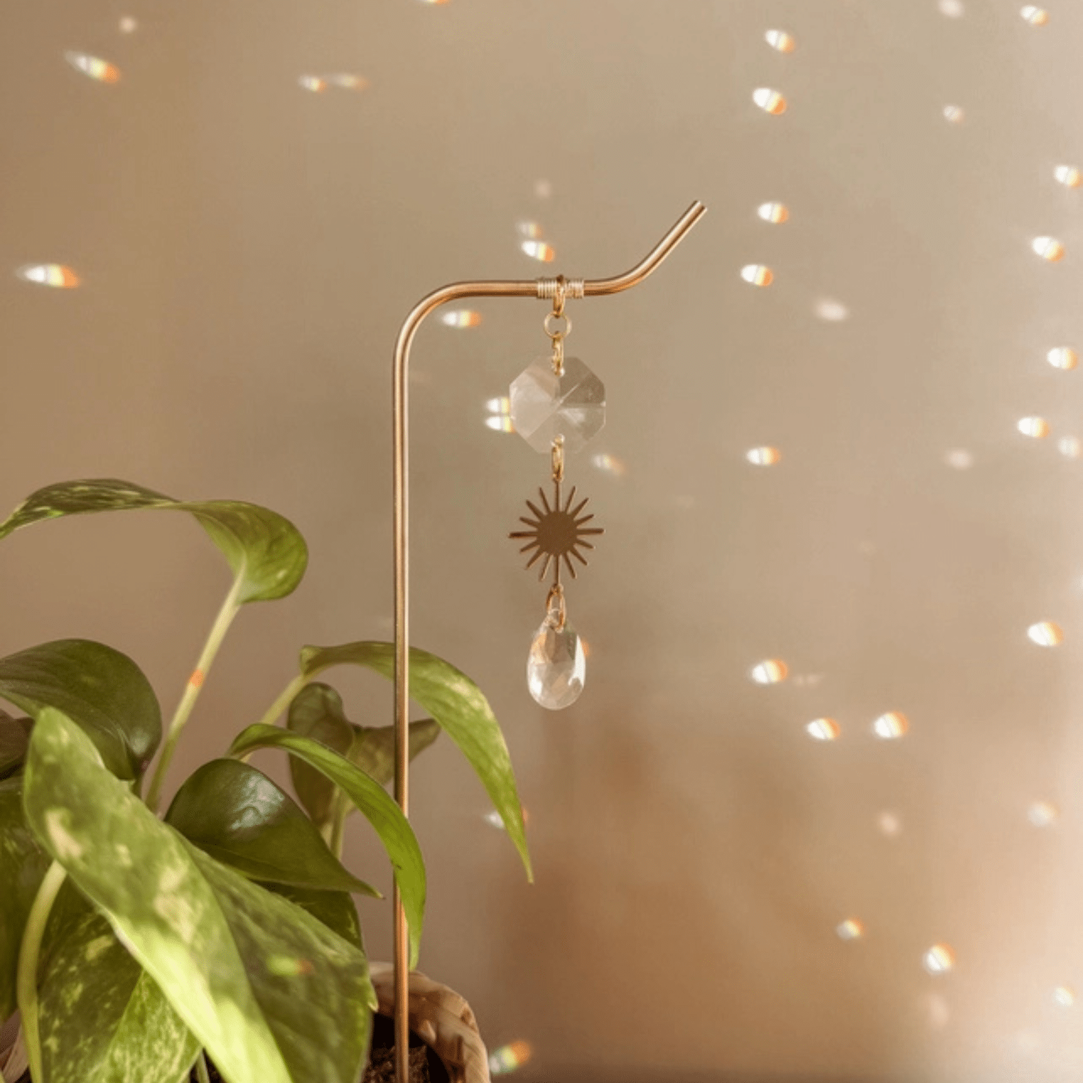 Plant Stake | Sun Suncatcher image