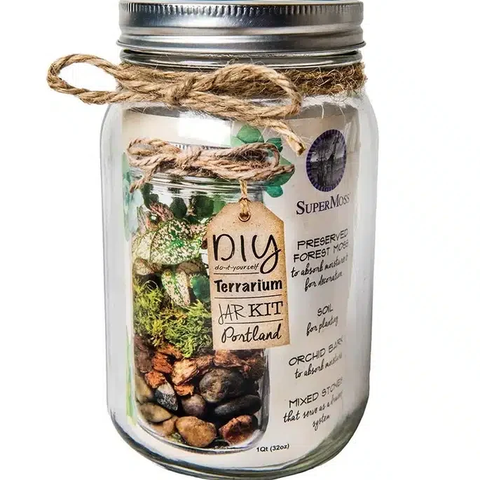 Terrarium Kit 32oz Mason Jar image